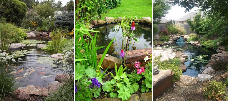 53 backyard pond ideas cover