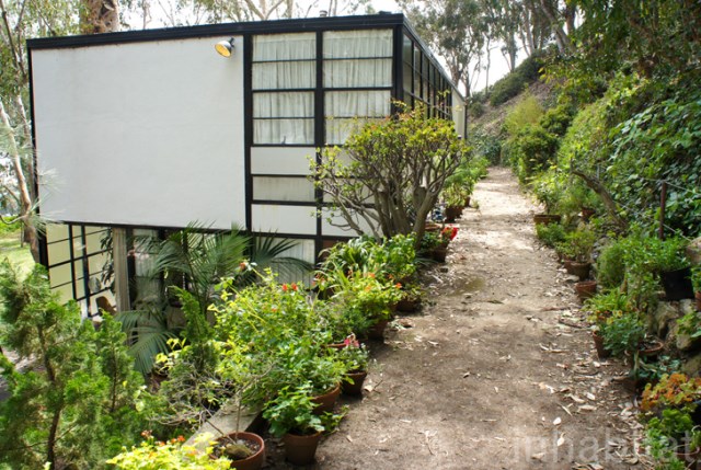 two- storey Modern home steel glass natural garden (4)