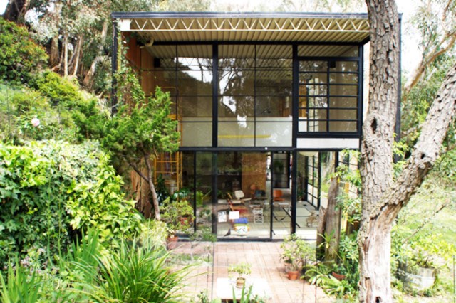 two- storey Modern home steel glass natural garden (5)