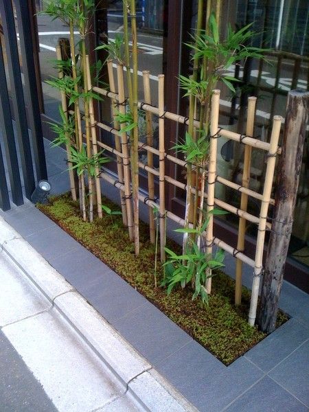40 interior ideas for bamboo decoration (3)