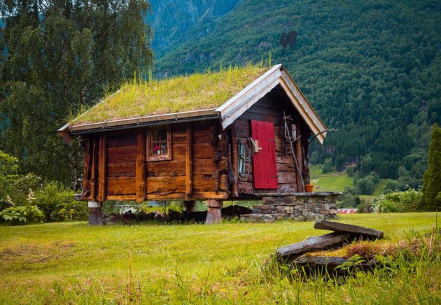 12-scandinavian-homes-with-green-roofs (2)